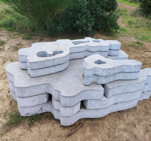 Forêt Pignada par le Pavillon Chinois - Anglet - 5