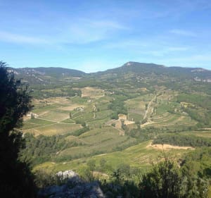 Randonnée du Barroux à la Roque-Alric - Le Barroux - 3