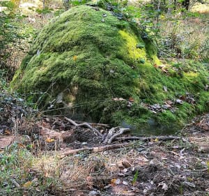 Balade du dimanche pour toute la famille - Fontainebleau - 3