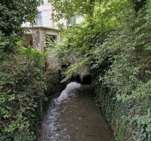 Boucle Chailles, Les Montils et Seur - Pascal - 4