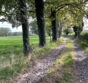 Boucle depuis Commelle vers Parigny - Commelle-Vernay - 4