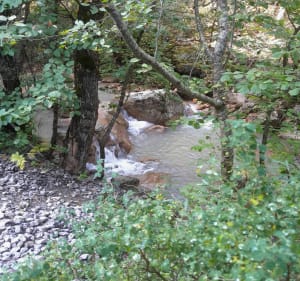 Cascade de Forest Lacour sur les Tines - Bayons - 4