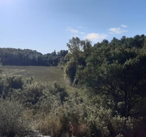 Saint Vincent de Barbeyrargues - Saint-Vincent-de-Barbeyrargues - 3