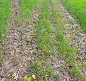Marche au Bois Brulé et de la Ville - Pernes - 3