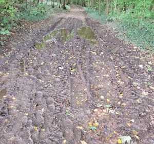 Marche au Bois Brulé et de la Ville - Pernes - 4