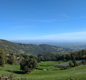 Randonnée sportive autour du col de la Fausse - Vaugneray - 5
