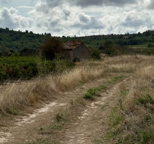 Paraza entre vignes et garrigue - Paraza - 5