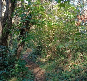 La vallée de l'Ousse - Orleix - 3