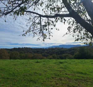 Boucle de la Glandée par Bois d'Uzo - Rontignon - 4