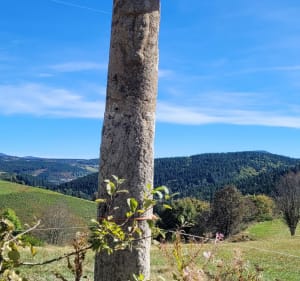 Chemin des sorcières - Mazan-l'Abbaye - 4