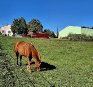 Petite balade 100% nature à Bussac - Magnac-sur-Touvre - 5