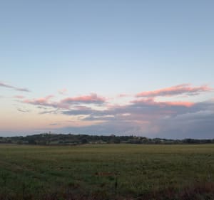 Balade proche de La Bruguière - La Bruguière - 5