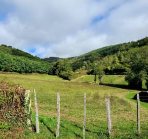 De Jullié au col de la Sibérie - Jullié - 3