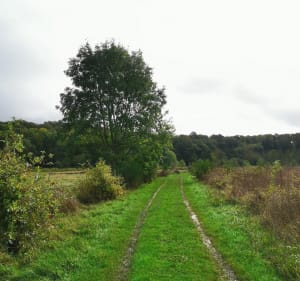 Balade près de l'eau entre St-Maur et le Rouvre - Saint-Maur-sur-le-Loir - 3
