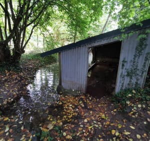 Balade près de l'eau entre St-Maur et le Rouvre - Saint-Maur-sur-le-Loir - 4