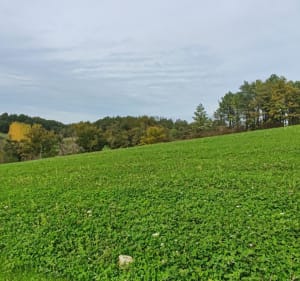 Boucle de Prapelou à Saint-Vincent-de-Connezac - Saint-Vincent-de-Connezac - 5