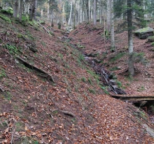 Terre rouge vosgienne - Moussey - 4