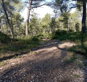 Parcours Test VTTAE Decathlon Aubagne - Aubagne - 3