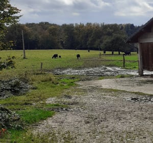 Bellefontaine par Jaillerey, les Duchenes - Bellefontaine - 5