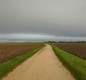 Boucle Chevigny-Couternon - Chevigny-Saint-Sauveur - 3