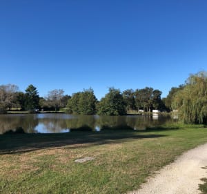 En campagne de Brenne, par le Bouchet et étang de Montiacre - Rosnay - 5
