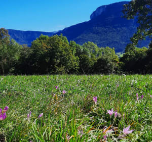 La Goulandiere par la Balme de Rencurel - Rencurel - 4