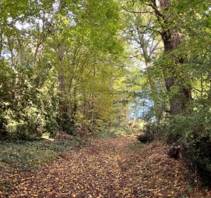 Déconnexion en nature de Nogent-le-Rotrou à Saint-Jean-Pierre-Fixte - Marie pierre - 3