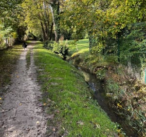 Balade dans le désert de Retz - Chambourcy - 3
