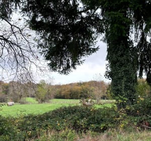 Balade au Hameau de Mauchamps - Rémondans-Vaivre - 4