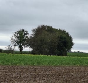 Rando autour de Juniville, par la Bouteille - Juniville - 5