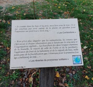 Au fil de l'eau, Monts d'Or et le Colin - Lyon - 4