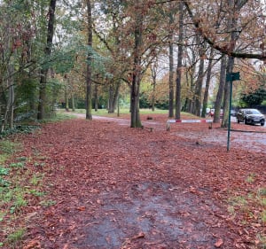 Tour du bois de Vincennes - Vincennes - 3