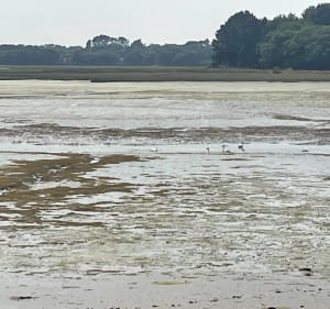 L’anse du Pouldon - Île-Tudy - 2