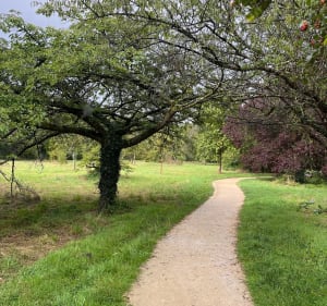 Tour du bois de Vincennes - Vincennes - 4