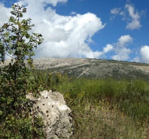 Circuit Cabris - Verdoline - Bois d'Amon - Col de Cabris - Cabris - 3