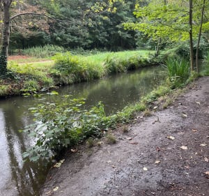 Tour du bois de Vincennes - Vincennes - 5