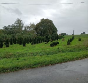Balade pique-nique entre Maine-et-Loire et Vendée - Romain - 3