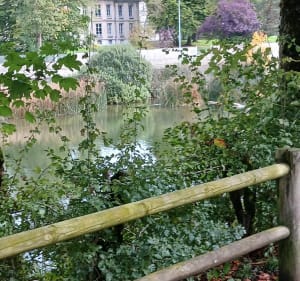 Chemin de la fauconnière à Pontarlier - Pontarlier - 3