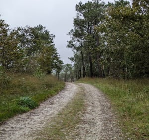 Sur les hauteurs d'Argol - Argol - 3