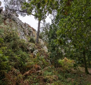 Sur les hauteurs d'Argol - Argol - 4