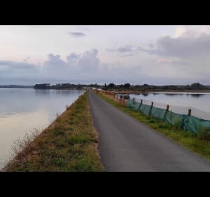 Promenade à l'île Tudy - Yannick - 5