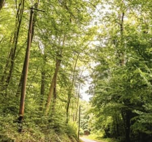 La Vallée du Sausseron - Butry-sur-Oise - 3