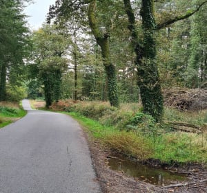 Promenade à Elven et sa périphérie. - Elven - 3