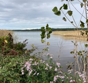 Des Eaux qui Rient au port de l’Estey en aller-retour - Sanguinet - 3