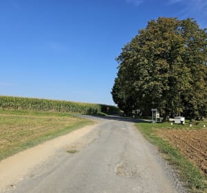 Petit tour  sur les crêtes au-dessus de Launois-sur-Vence - Launois-sur-Vence - 4