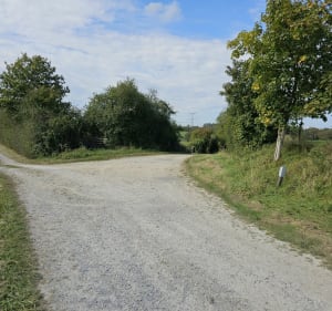 Petit tour  sur les crêtes au-dessus de Launois-sur-Vence - Launois-sur-Vence - 5