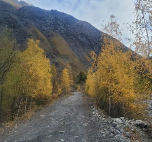 Balade autour du plan d'eau d'Arsine - Villar-d'Arêne - 5