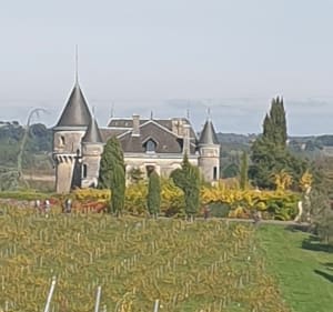 Boucle de l'estuaire à Saint-André-de-Cubzac - Saint-André-de-Cubzac - 3
