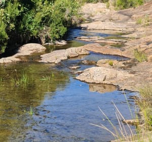 Estérel, côté des Veyssieres, et Col de l'Essuyadou - Saint-Raphaël - 4