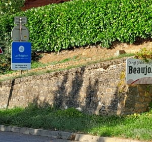 De Lacenas à Oingt - Lacenas - 4